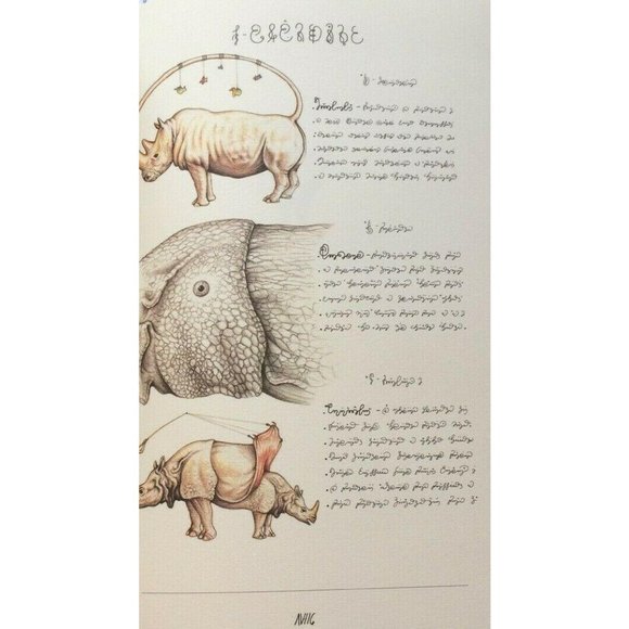 Luigi Serafini Codex Seraphinianus Print 98 - Picture 1 of 10